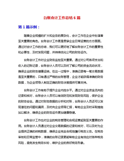 台账会计工作总结6篇