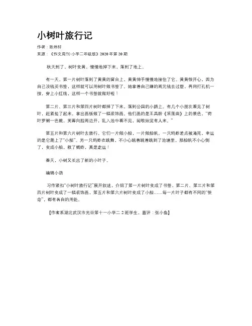 小树叶旅行记