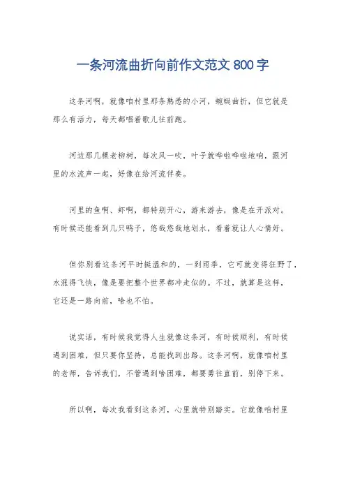 一条河流曲折向前作文范文800字