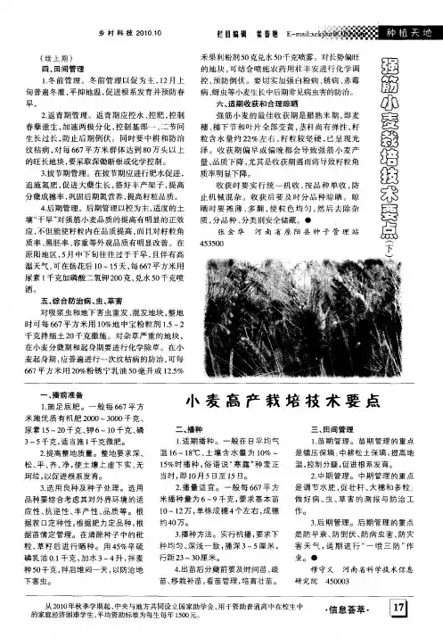 小麦高产栽培技术要点