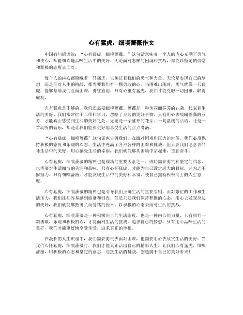 心有猛虎,细嗅蔷薇作文