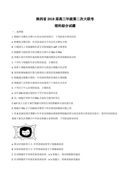 2018届陕西省高三年级第二次大联考理科综合试题word