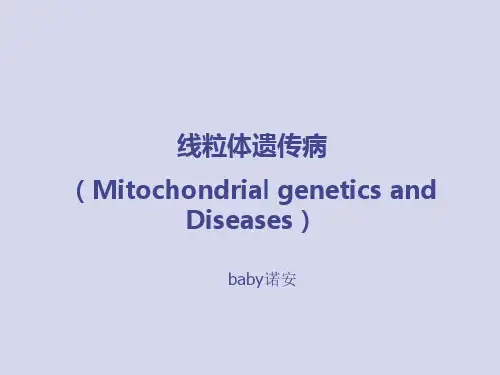 线粒体疾病