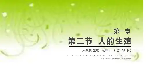 1.2人的生殖-2023-2024学年七年级生物下册同步优质课件(人教版)