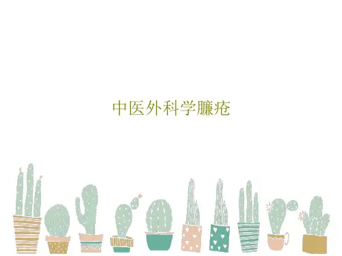 中医外科学臁疮共26页PPT
