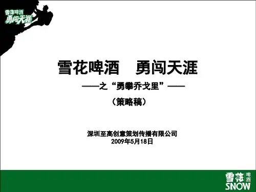 广东雪花啤酒勇攀乔戈里策略稿0518