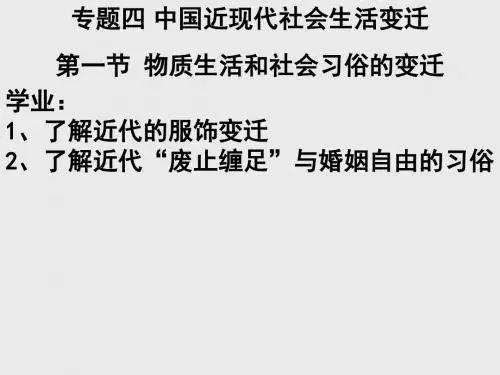 物质生活和社会习俗的变迁 PPT课件 11 人民版