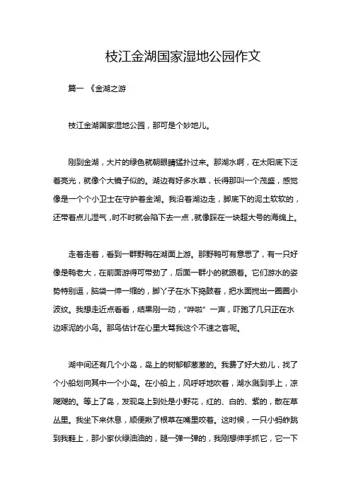 枝江金湖国家湿地公园作文