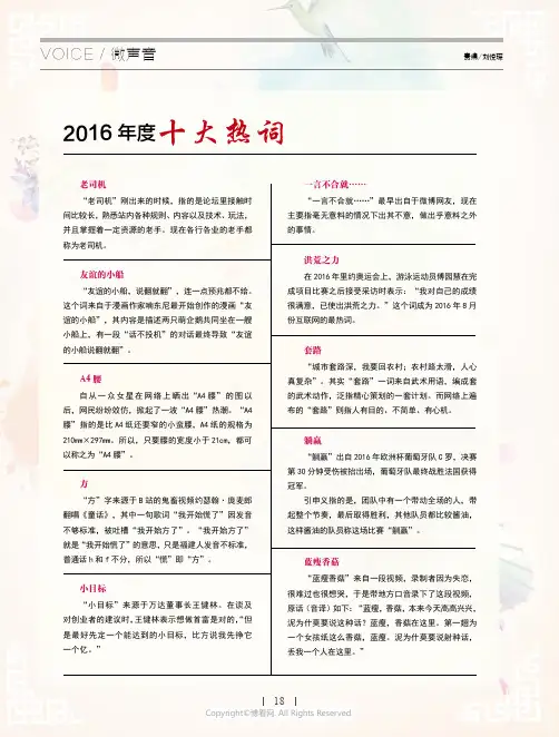 2016_年度十大热词