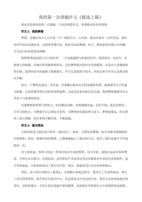 我的第一次投稿 作文(精选2篇)