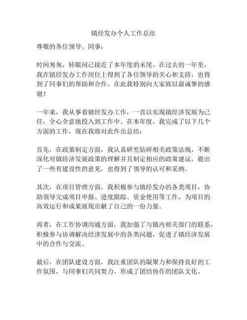 镇经发办个人工作总结