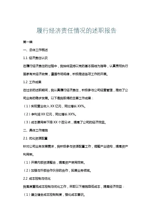 履行经济责任情况的述职报告