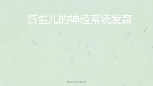 新生儿的神经系统发育课件