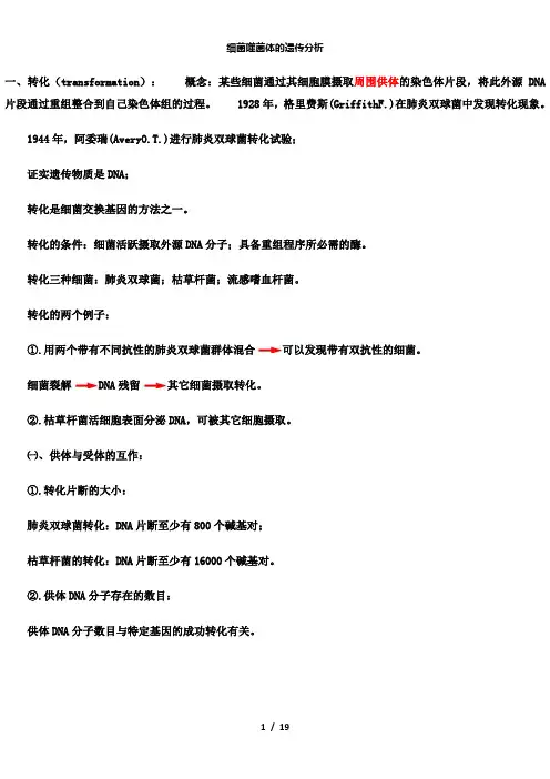 【精品】细菌噬菌体的遗传分析