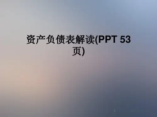 资产负债表解读(ppt53页)