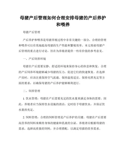 母猪产后管理如何合理安排母猪的产后养护和喂养