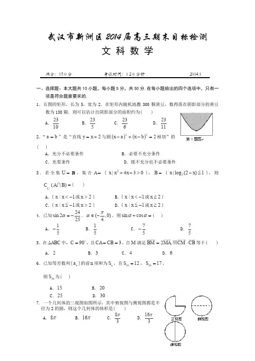 湖北省武汉市新洲区2014届高三上学期期末目标检测数学(文)试题