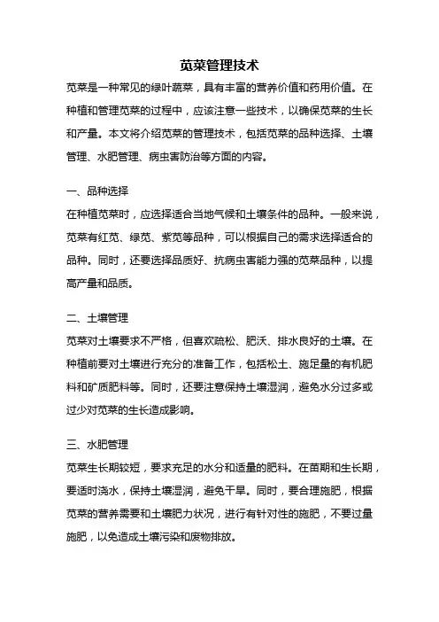 苋菜管理技术
