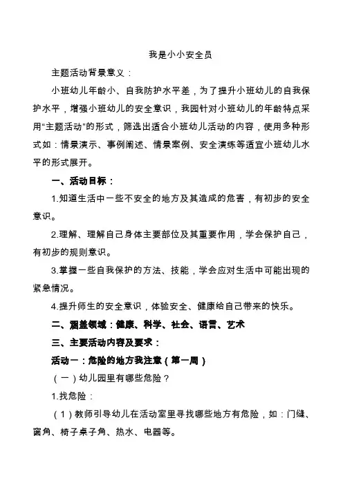 我是小小安全员主题方案