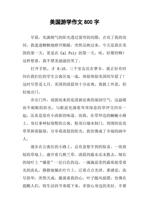 美国游学作文800字