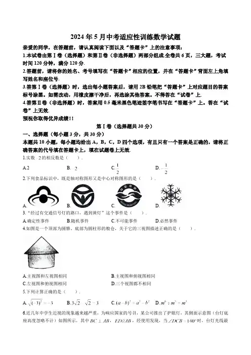 湖北省武汉市黄陂区2024届九年级下学期5月中考适应性训练(三模)数学试卷(含答案)