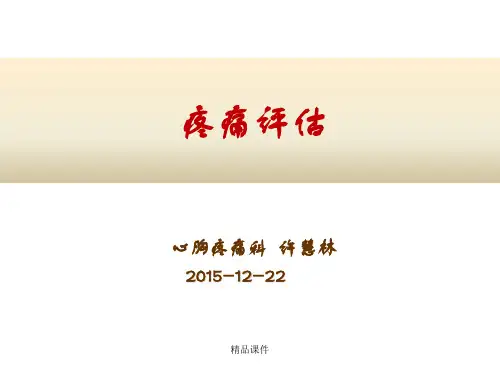 疼痛评估最新版