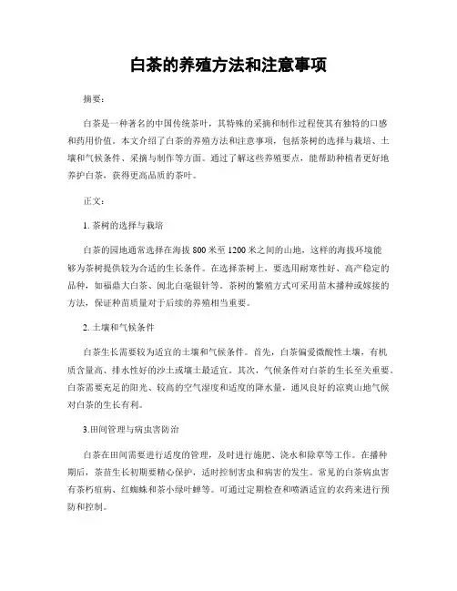 白茶的养殖方法和注意事项
