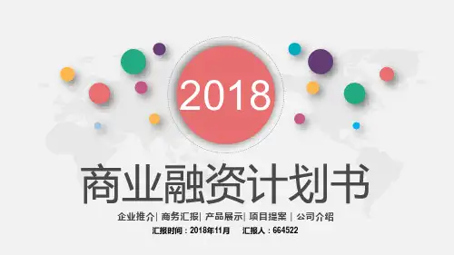 美容院护肤项目融资计划书ppt
