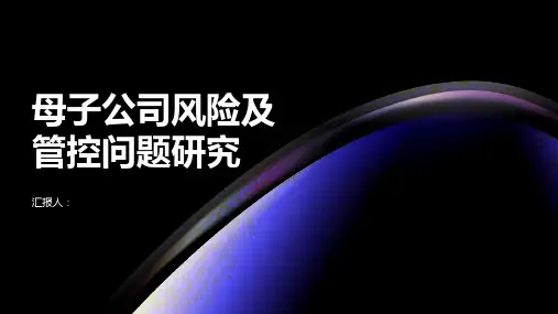 母子公司风险及管控问题研究