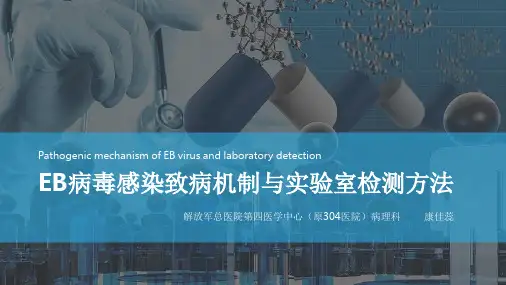 EB病毒感染致病机制与实验室检测方法