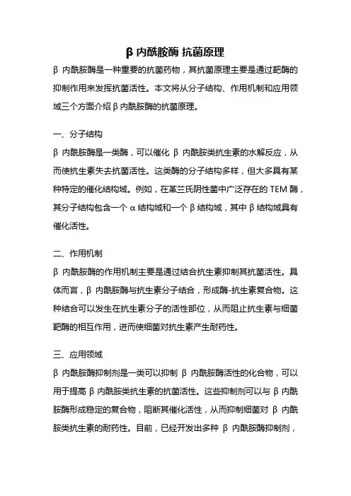 β内酰胺酶 抗菌原理