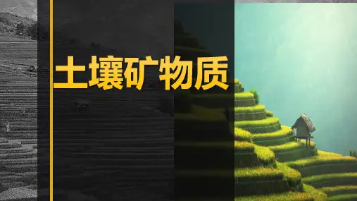 《土壤肥料》课件——1.1.1土壤矿物质