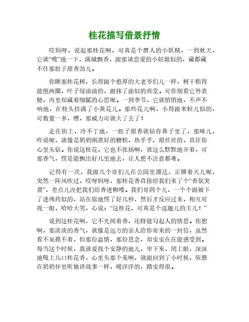 描写桂花的作文800字借景抒情