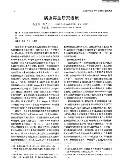涡虫再生研究进展