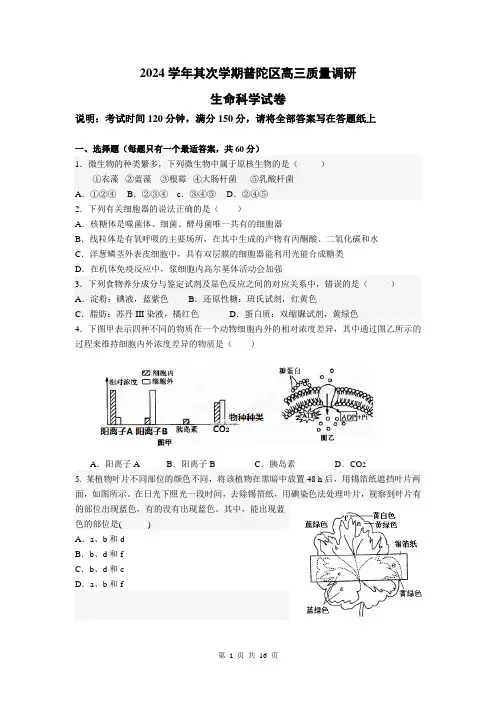普陀区2024年高三生物二模试卷