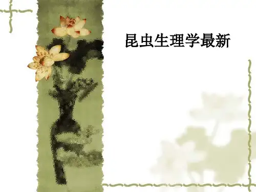 昆虫生理学最新ppt课件