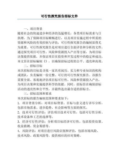 可行性研究报告招标文件