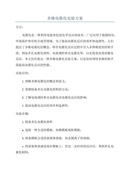 多维电催化实验方案