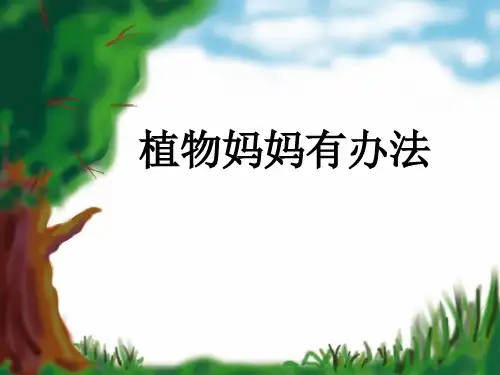 《3植物妈妈有办法》人教部编版 (共38张PPT)[优秀课件]