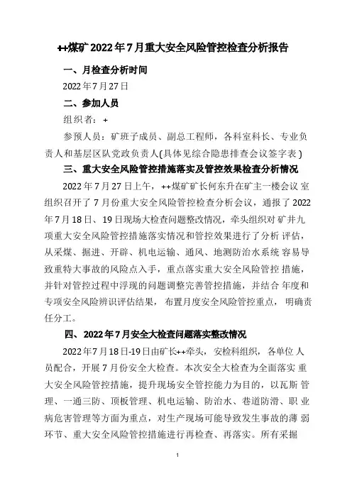 煤矿安全风险管控月检查分析报告