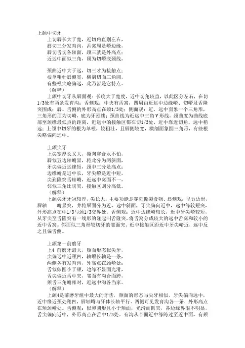 口解五颗重点牙齿形态顺口溜