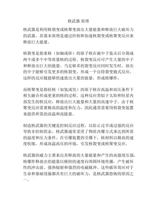 核武器 原理