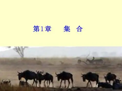 高中集合复习课件