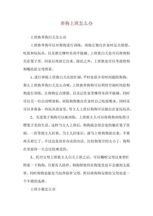 养狗上班怎么办