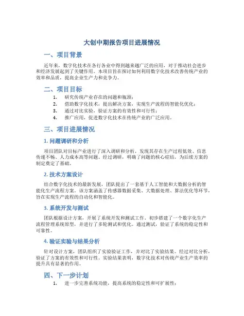 大创中期报告项目进展情况