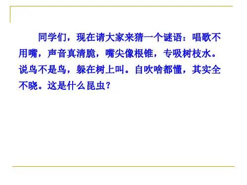 第21课《蝉》课件(共41页)2022-2023学年部编版语文八年级上册