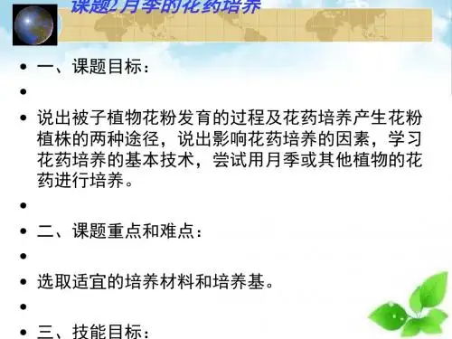 月季的花药培养ppt课件(自制)2