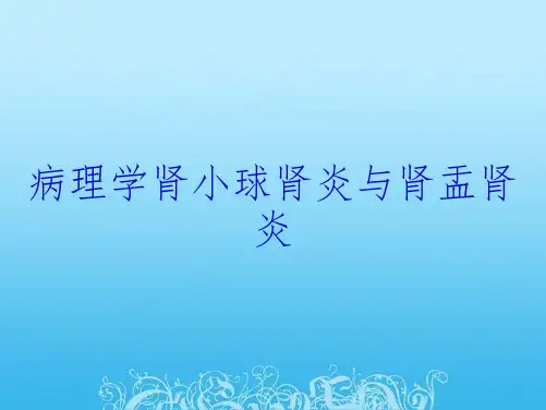 病理学肾小球肾炎与肾盂肾炎