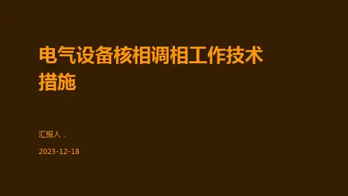 电气设备核相调相工作技术措施