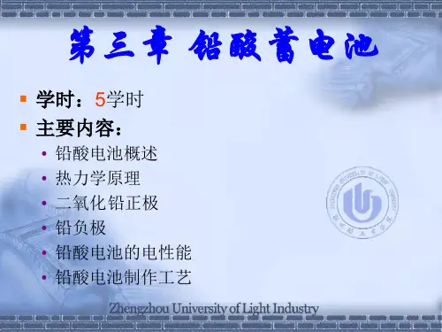 铅酸蓄电池(精)